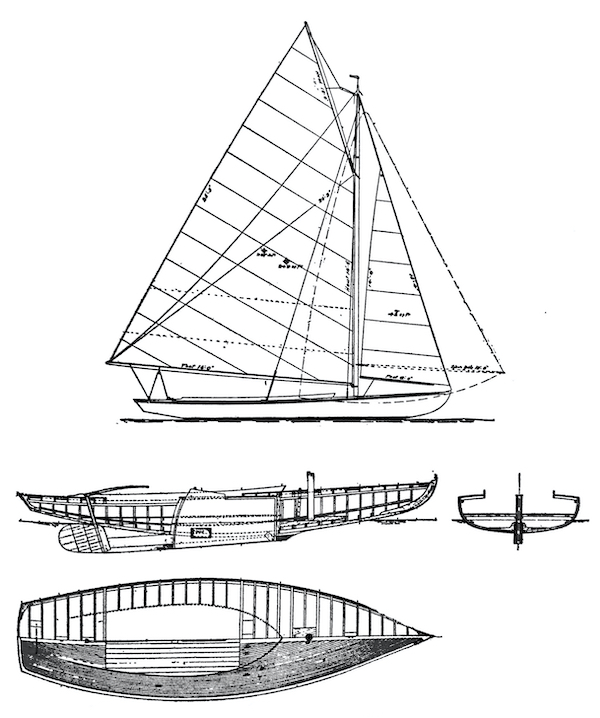 Great south bay shore bird sailboat under sail