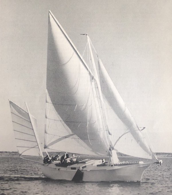 Bird of dawning sailboat under sail