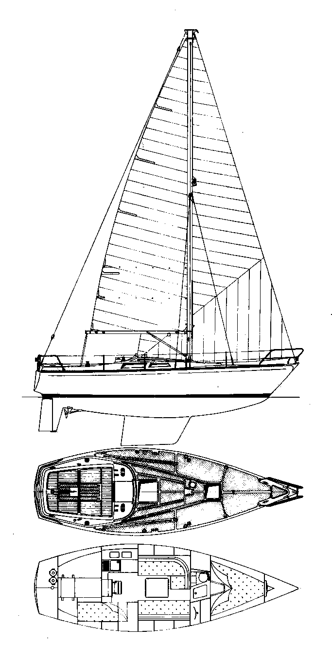 Hornet 32
