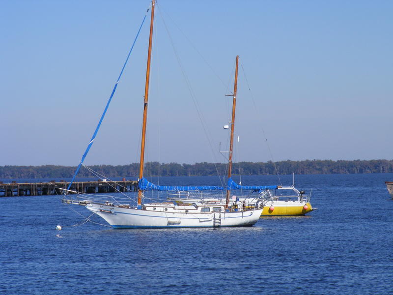 Sea tiger 41 sailboat under sail