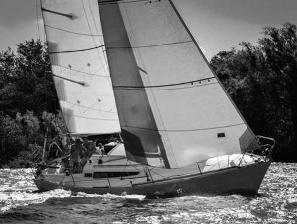 Albatros 950 sailboat under sail