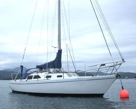 Chico 30 sailboat under sail