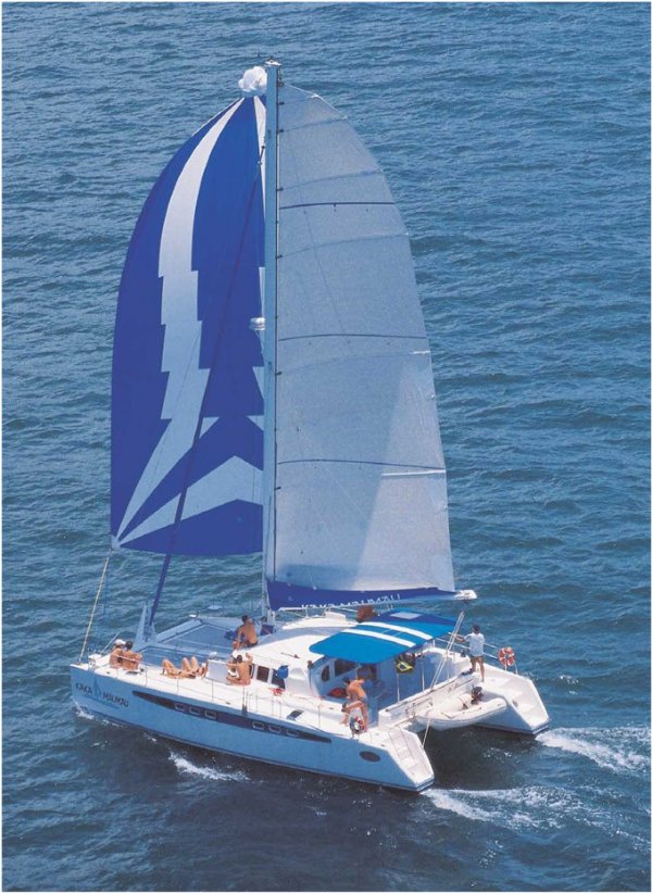 Dolphin 460 sailboat under sail