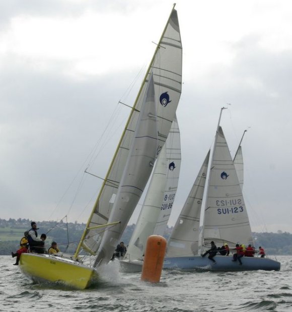 Dolphin 81 sailboat under sail