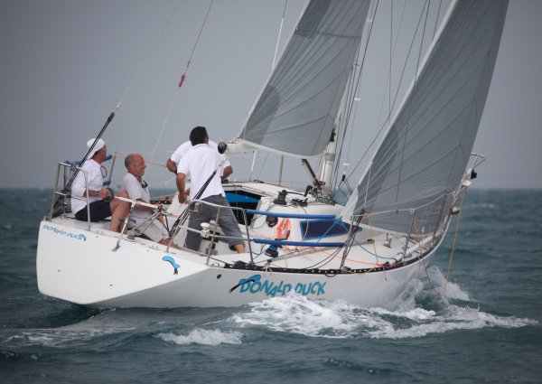Duck 31 sailboat under sail