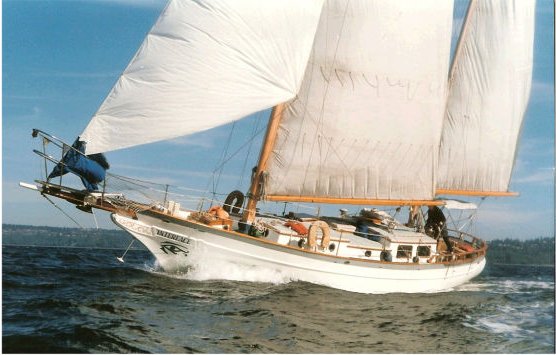 Sea wolf 40 sailboat under sail