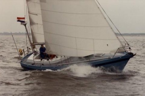 Seal 36 sailboat under sail