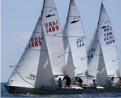 Shark 24 sailboat under sail