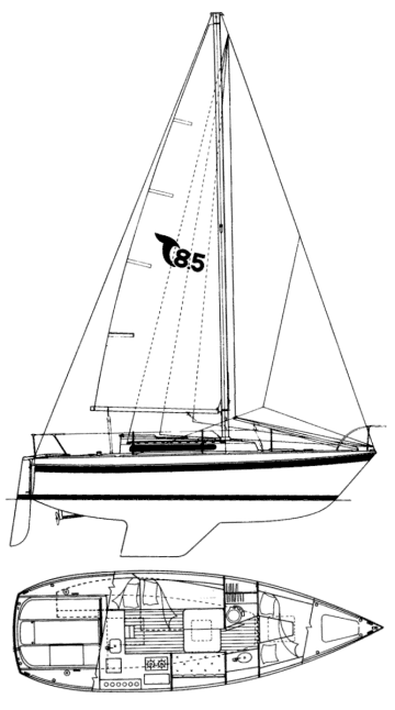 Tanzer 85