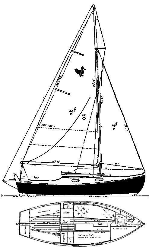 Wild duck 19 sailboat under sail